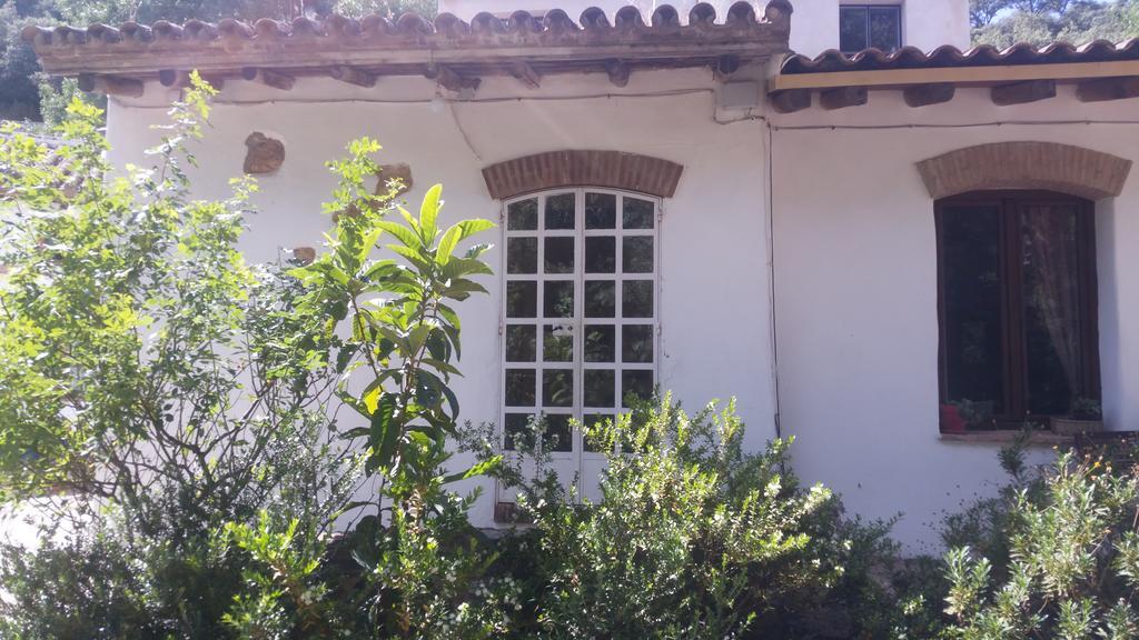 El Molino Del Corcho Apartman Cazalla de la Sierra Kültér fotó