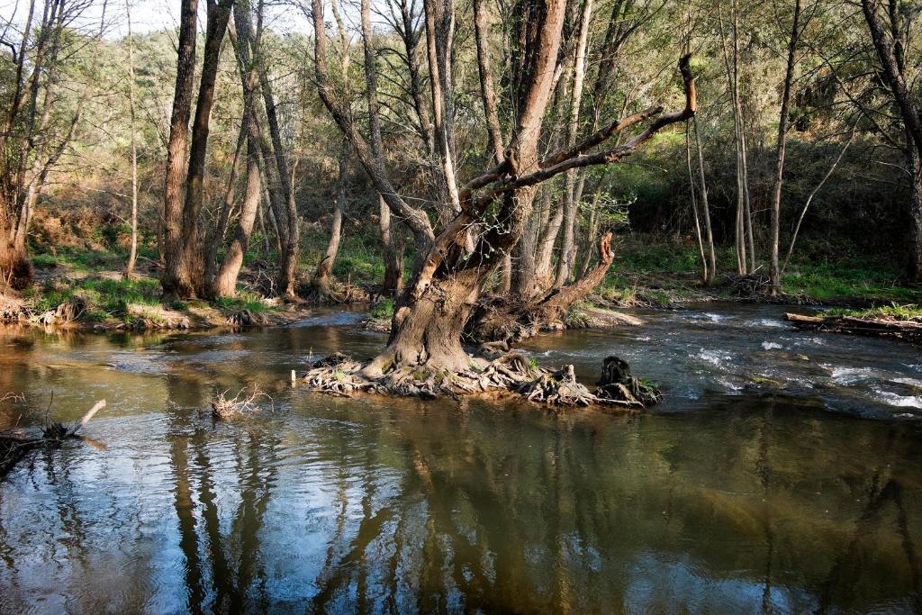 El Molino Del Corcho Apartman Cazalla de la Sierra Kültér fotó