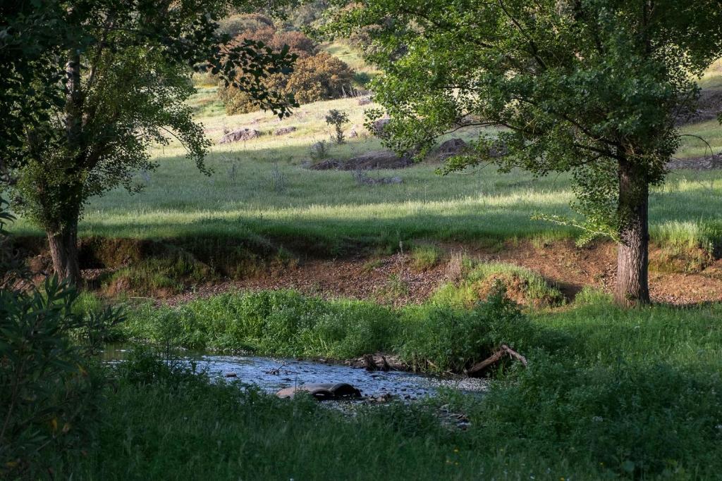 El Molino Del Corcho Apartman Cazalla de la Sierra Kültér fotó