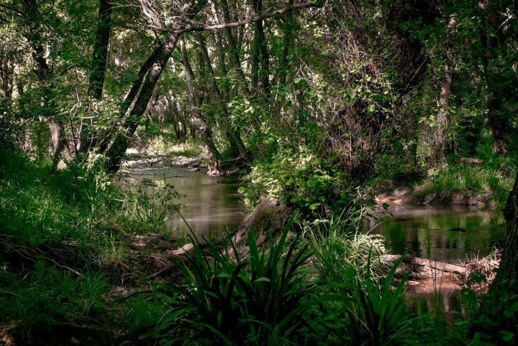 El Molino Del Corcho Apartman Cazalla de la Sierra Kültér fotó